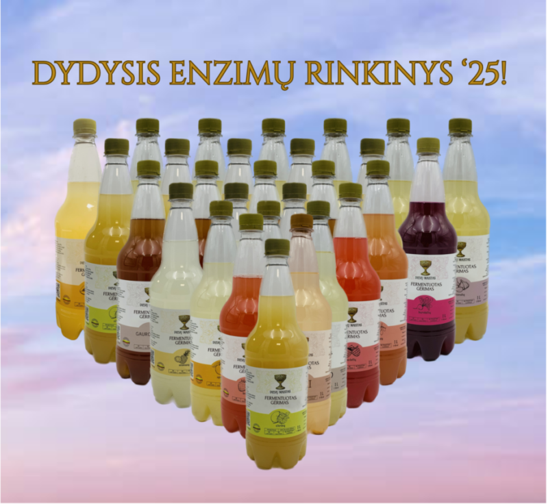 Didysis Enzimų Rinkinys!