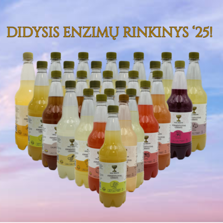 Didysis Enzimų Rinkinys!