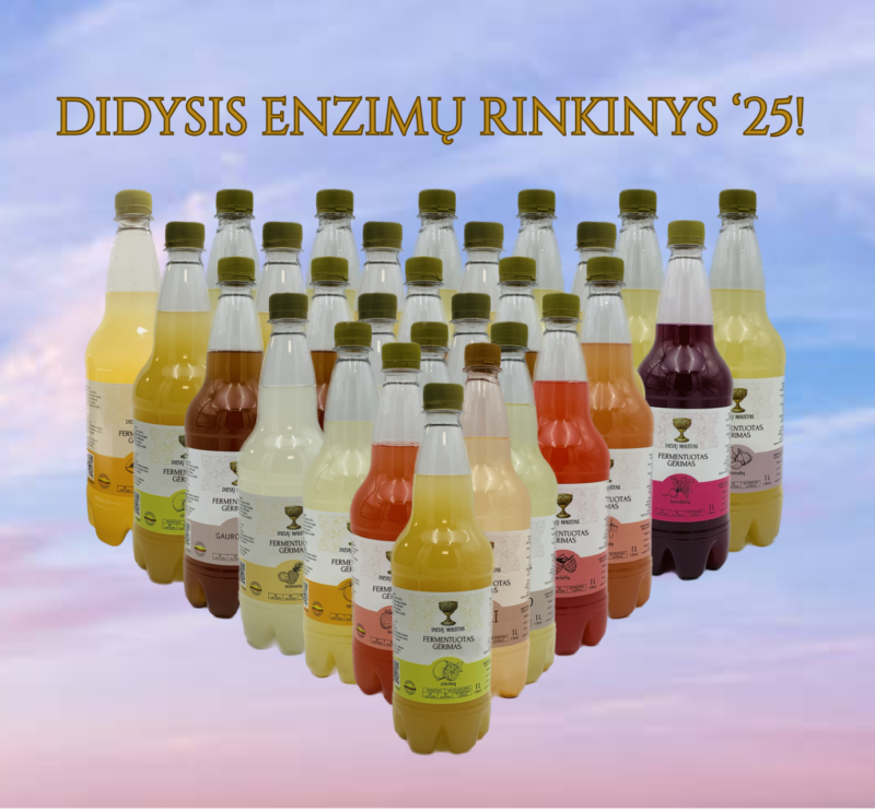 Didysis Enzimų Rinkinys!
