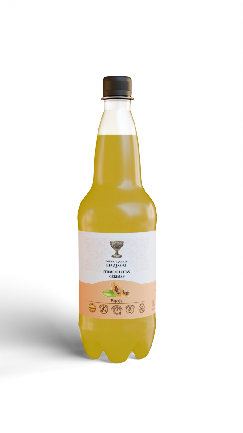 Papajų fermentuotas gėrimas - Image 2