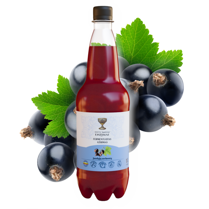 Juodųjų serbentų fermentuotas gėrimas